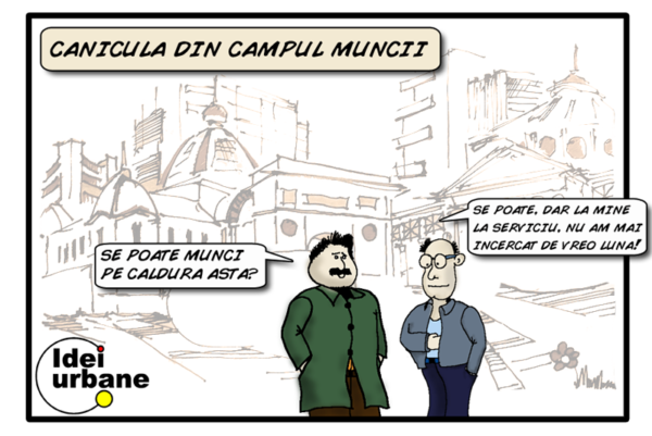 37 canicula din campul muncii