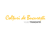 logo-COLTURI-DE-BUCURESTI