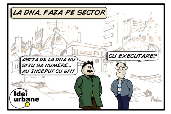 54-DNA-faza-pe-sector